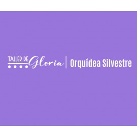 Orquidea Silvestre