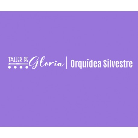 Orquidea Silvestre
